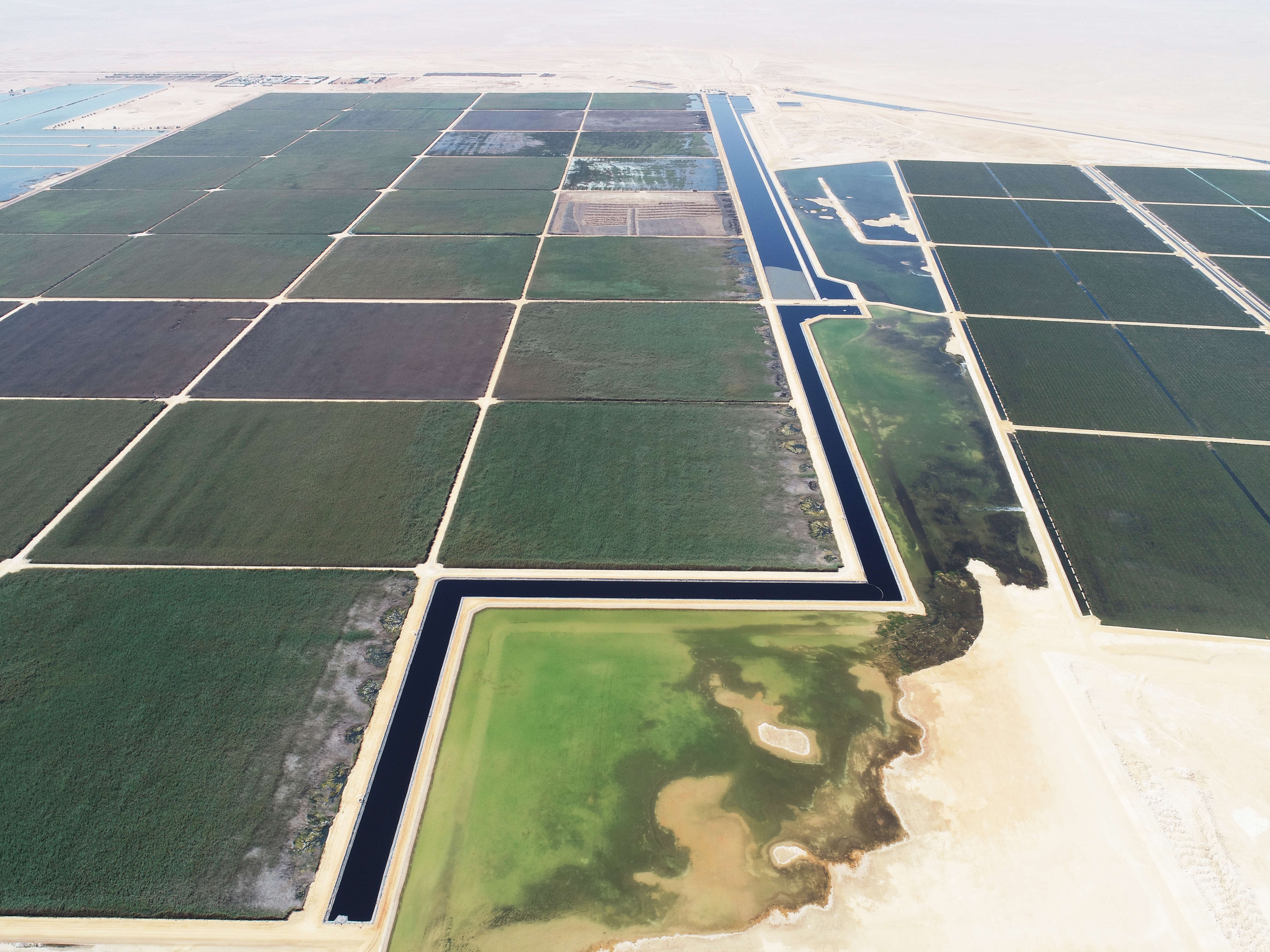 Bauer operates world's largest reed bed treatment plant for 10 years in Oman